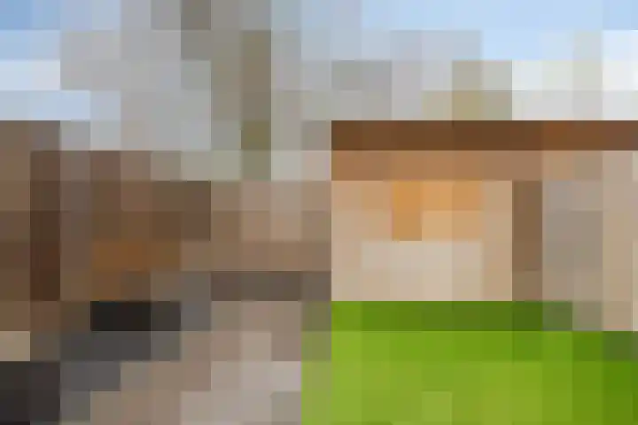 Trambaan 9 Lengel thumbnail 29
