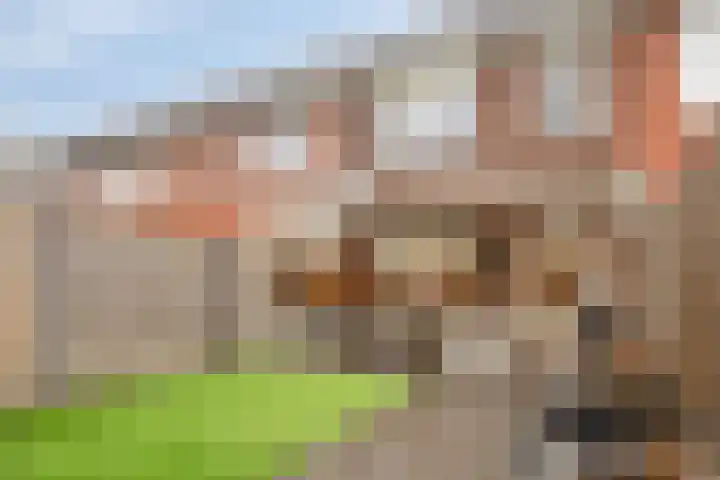 Trambaan 9 Lengel thumbnail 5