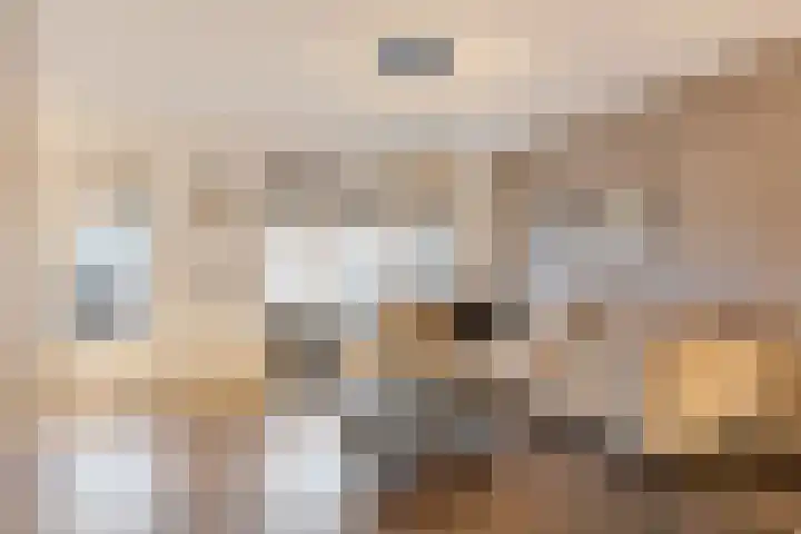 Trambaan 9 Lengel thumbnail 8