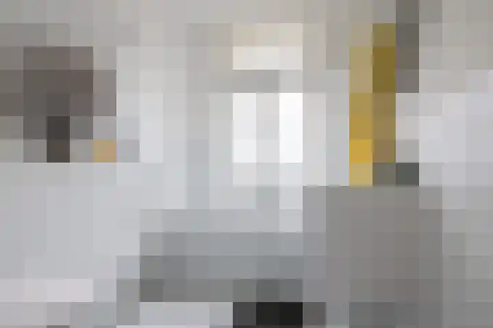 Tramstraat 42 Eindhoven thumbnail 20