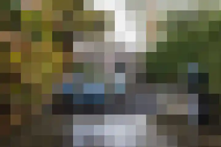 Tramstraat 42 Eindhoven thumbnail 30