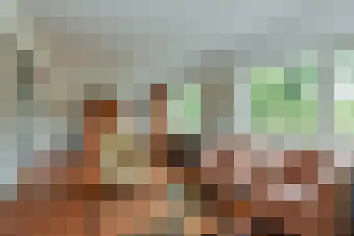 Tramstraat 44 Velp thumbnail 12