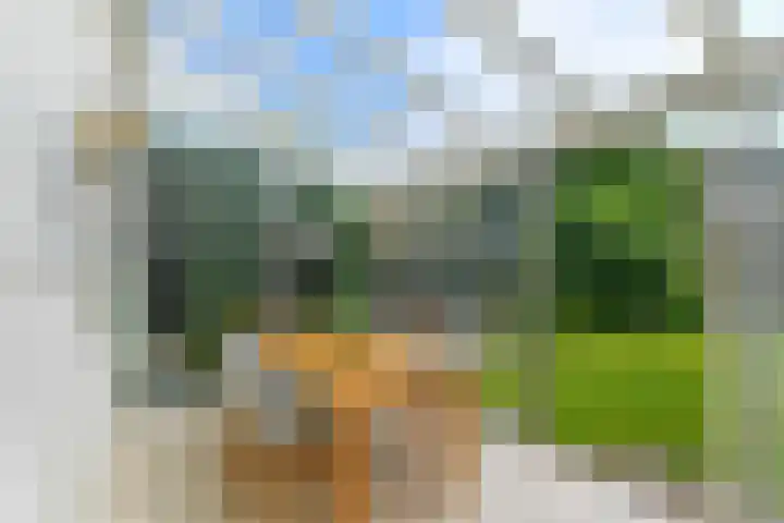 Tramstraat 44 Velp thumbnail 18