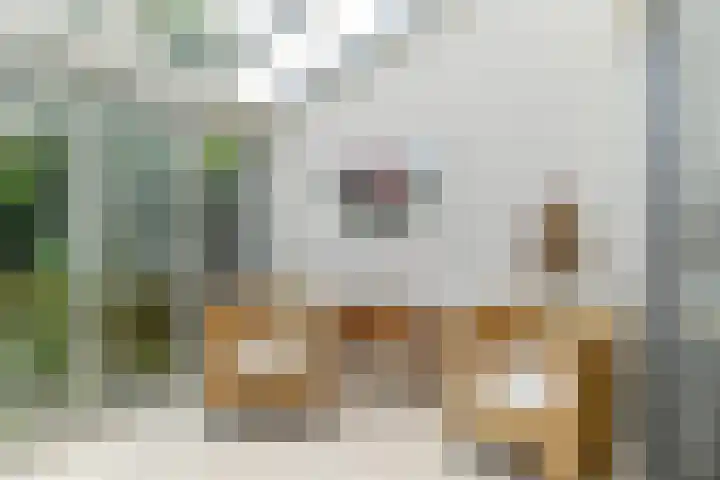 Tramstraat 44 Velp thumbnail 20