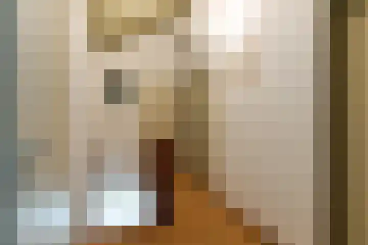 Tramstraat 44 Velp thumbnail 24
