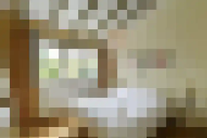 Tramstraat 44 Velp thumbnail 25