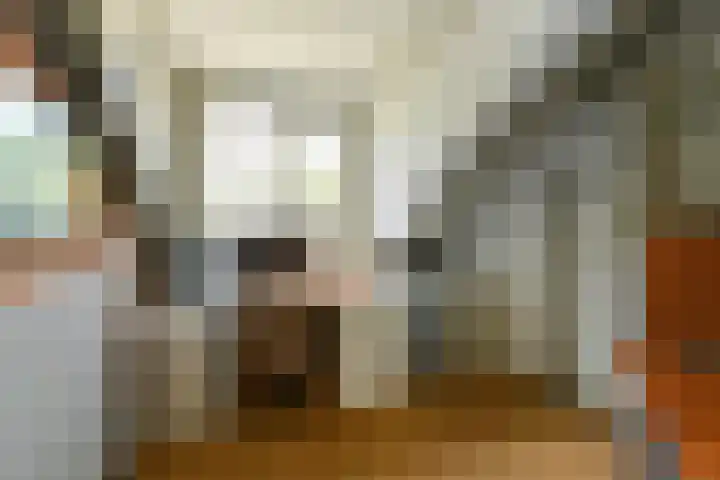 Tramstraat 44 Velp thumbnail 27