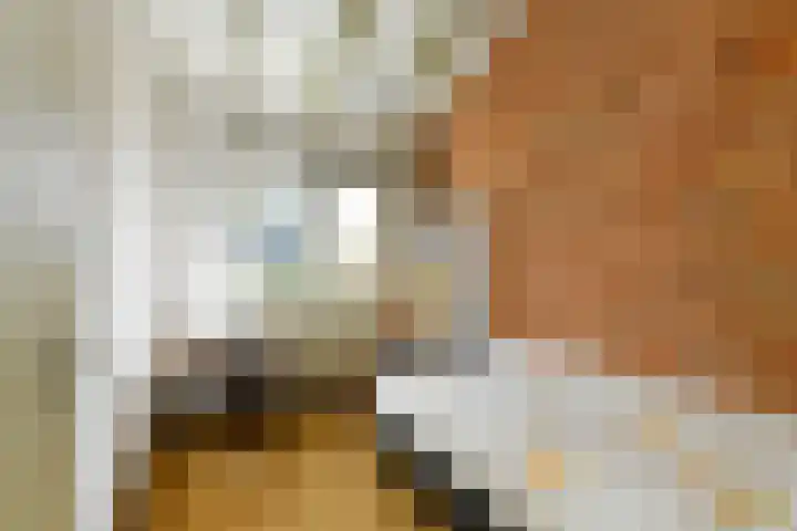 Tramstraat 44 Velp thumbnail 28
