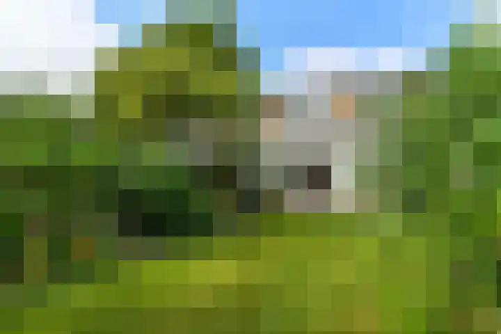 Tramstraat 44 Velp thumbnail 34
