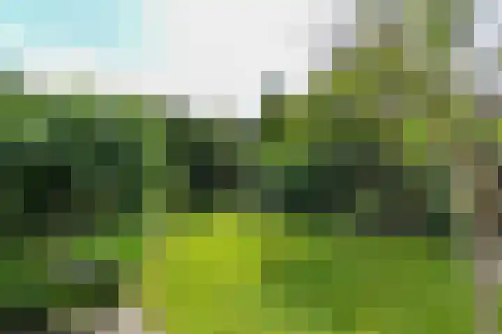 Tramstraat 44 Velp thumbnail 35