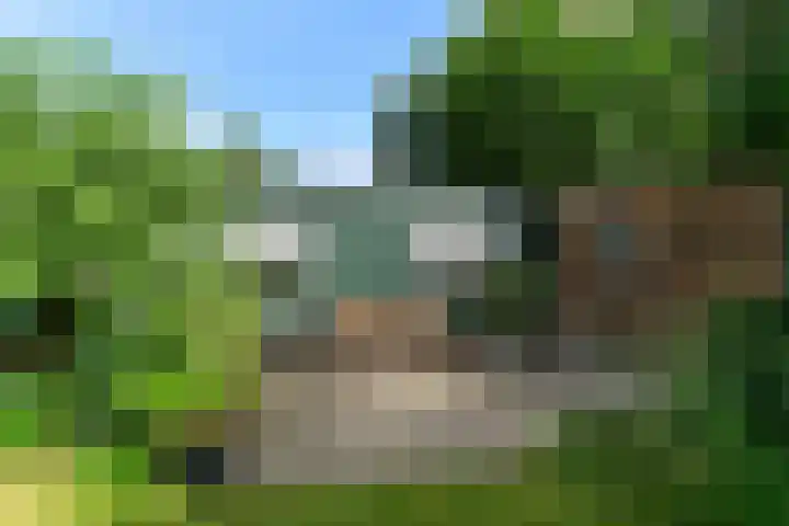 Tramstraat 44 Velp thumbnail 37