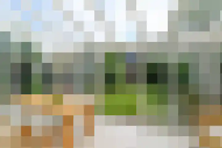 Tramstraat 44 Velp thumbnail 4