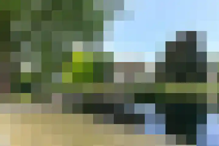 Tramstraat 44 Velp thumbnail 46