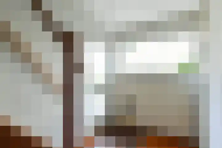 Tramstraat 44 Velp thumbnail 8