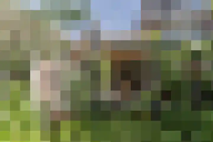 Tramstraat 49 Dongen thumbnail 33