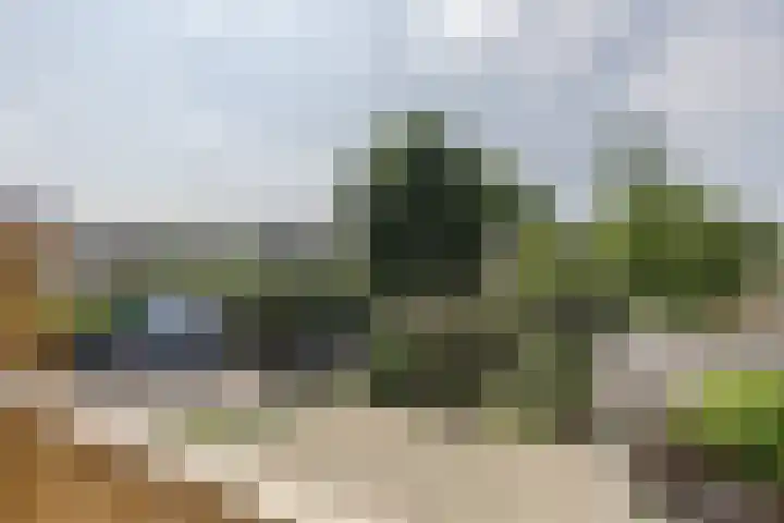 Tramstraat 49 Dongen thumbnail 58