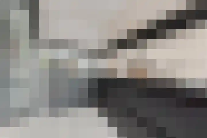 Trans 26 Arnhem thumbnail 10