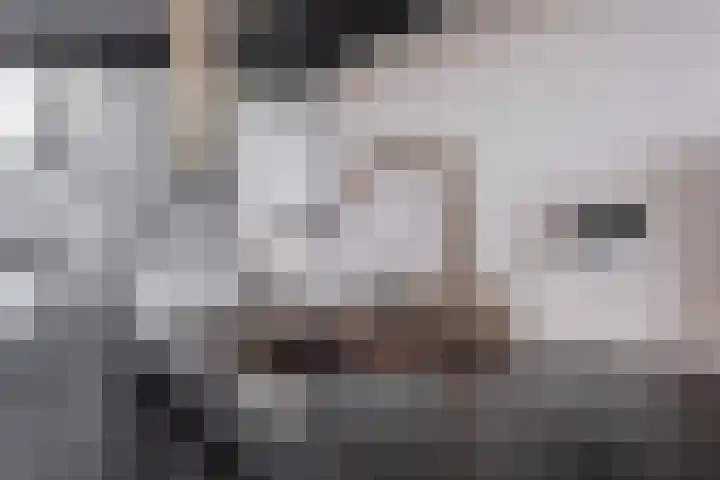 Trans 26 Arnhem thumbnail 11