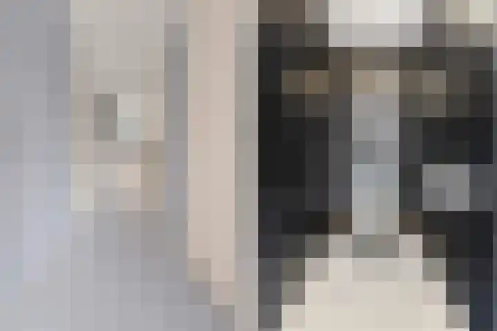 Trans 26 Arnhem thumbnail 13