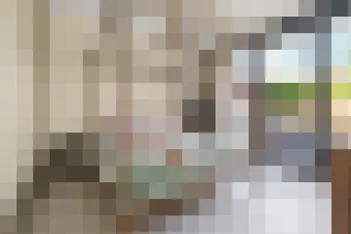 Trans 26 Arnhem thumbnail 14