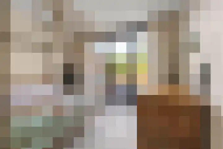 Trans 26 Arnhem thumbnail 15