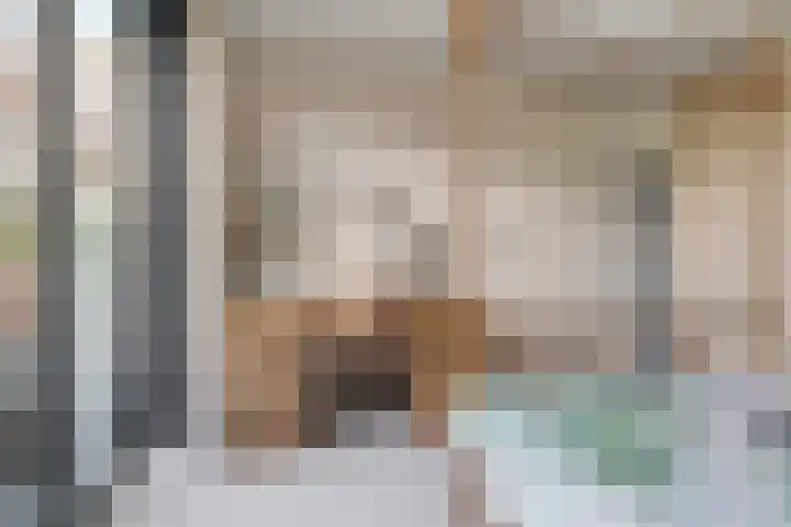 Trans 26 Arnhem thumbnail 16