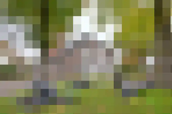 Trans 26 Arnhem thumbnail 19