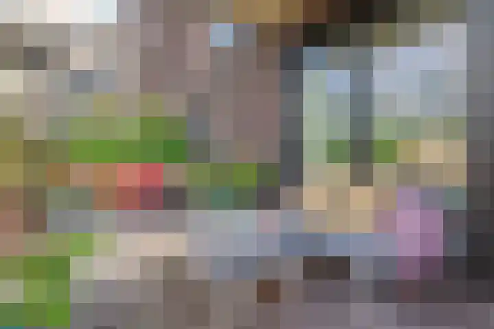 Trans 26 Arnhem thumbnail 26