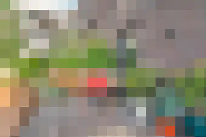 Trans 26 Arnhem thumbnail 27