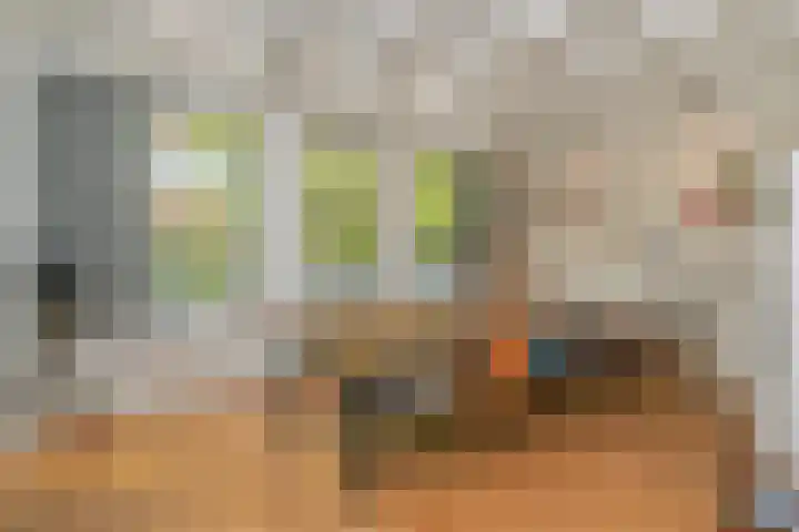 Trans 26 Arnhem thumbnail 32