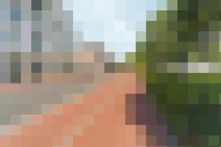 Trans 26 Arnhem thumbnail 36