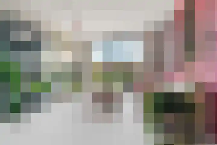 Trans 26 Arnhem thumbnail 4