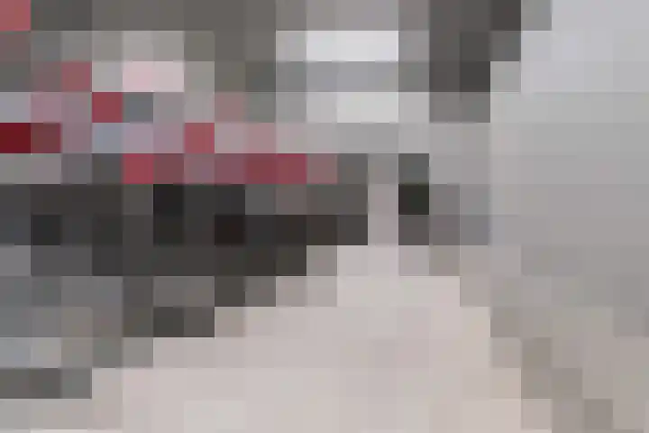 Trans 26 Arnhem thumbnail 43