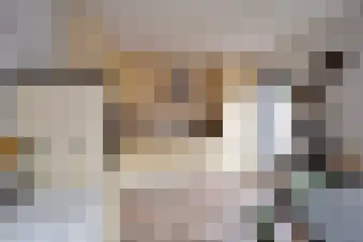 Transformatorstraat 44 Eindhoven thumbnail 12