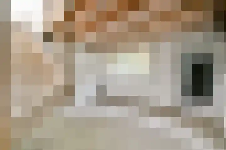 Transvaalkade 5 A 2 Amsterdam thumbnail 25