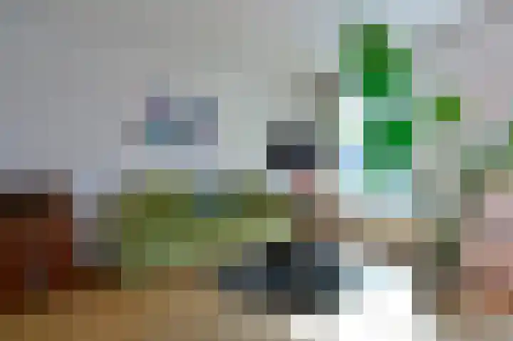 Transvaalkade 69 Amsterdam thumbnail 14