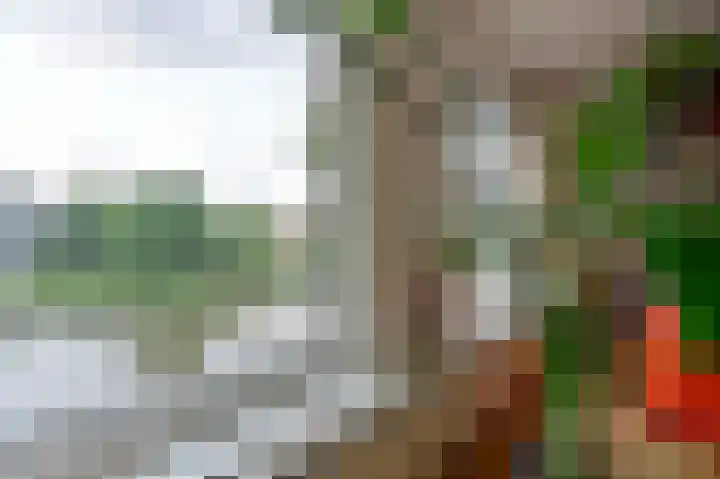 Transvaalkade 69 Amsterdam thumbnail 15