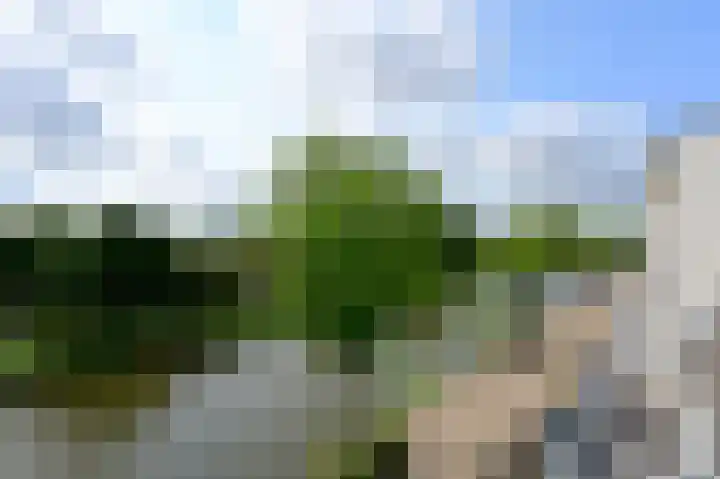 Transvaalkade 69 Amsterdam thumbnail 26