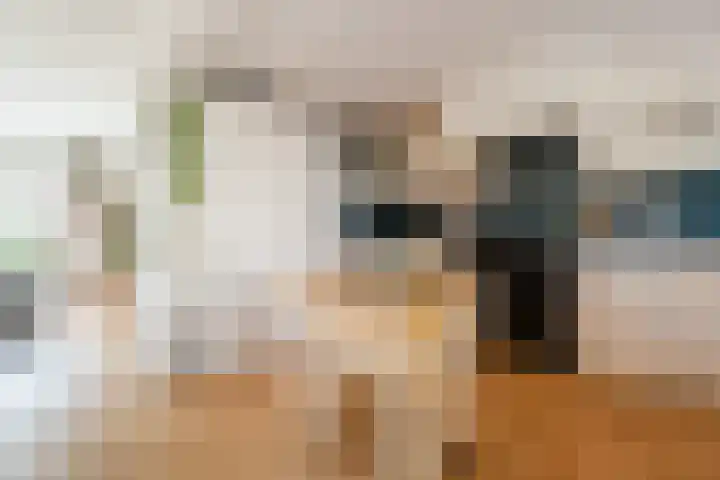 Transvaalkade 69 Amsterdam thumbnail 34
