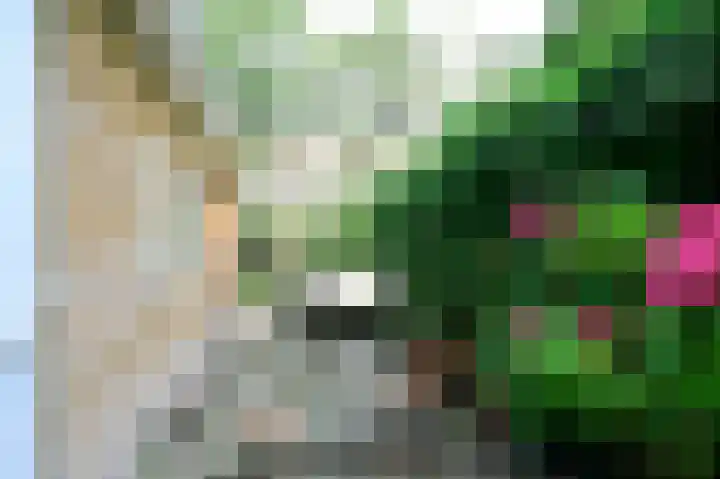 Transvaalkade 69 Amsterdam thumbnail 7
