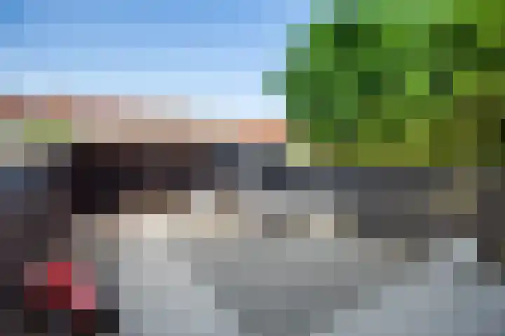 Transvaalstraat 10 Ridderkerk thumbnail 31