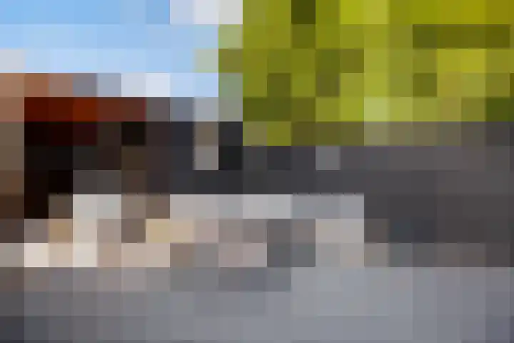 Transvaalstraat 10 Ridderkerk thumbnail 33
