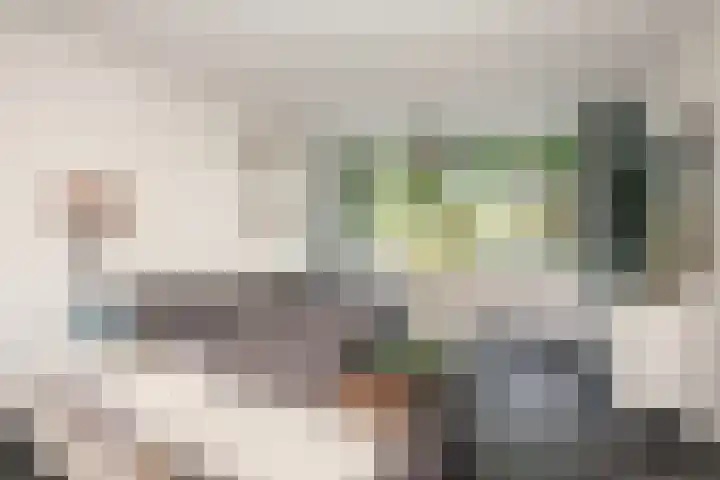 Transvaalstraat 10 Ridderkerk thumbnail 5
