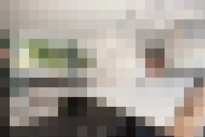 Transvaalstraat 10 Ridderkerk thumbnail 9