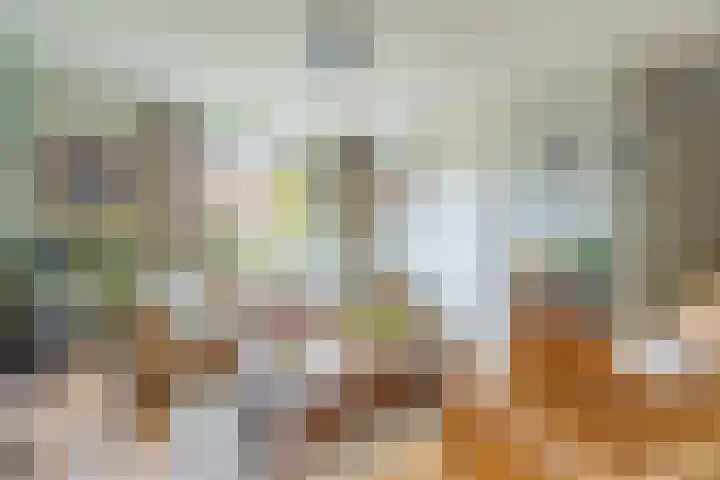 Traptoren 6 Middelburg thumbnail 11