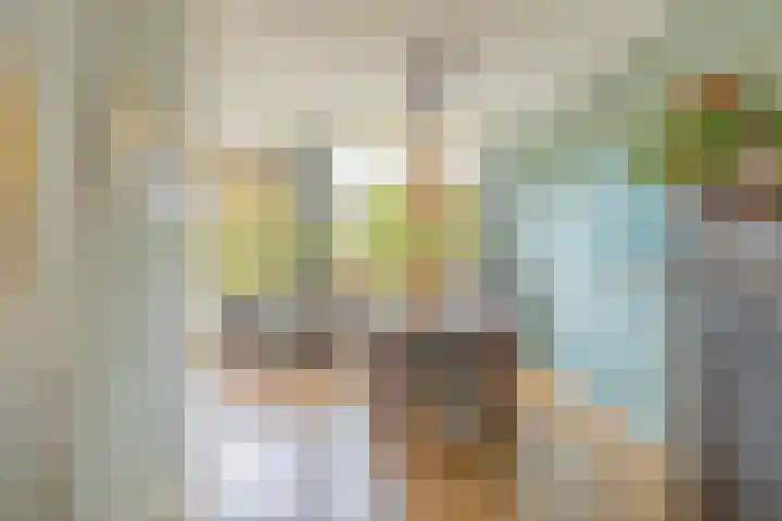 Traptoren 6 Middelburg thumbnail 13