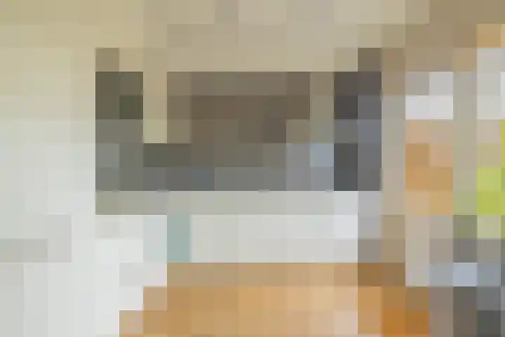 Traptoren 6 Middelburg thumbnail 17