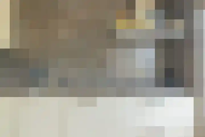 Traptoren 6 Middelburg thumbnail 19