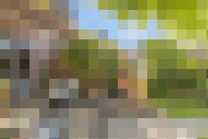 Traptoren 6 Middelburg thumbnail 22