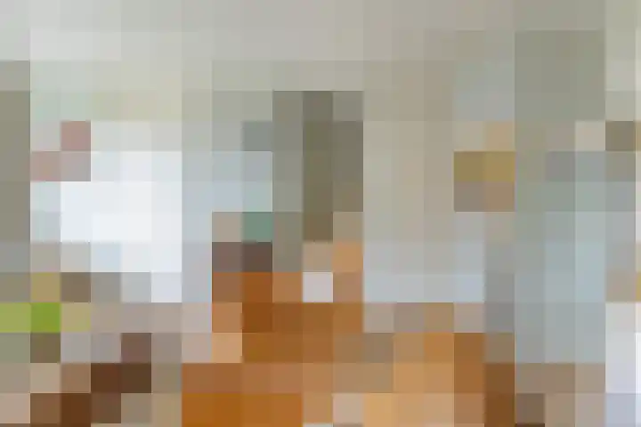 Traptoren 6 Middelburg thumbnail 29